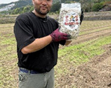 ヒトデブロックの販売